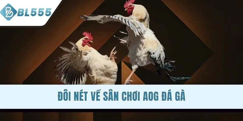 Đôi nét về sân chơi AOG đá gà