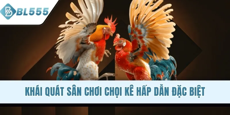 Khái quát sân chơi chọi kê hấp dẫn đặc biệt