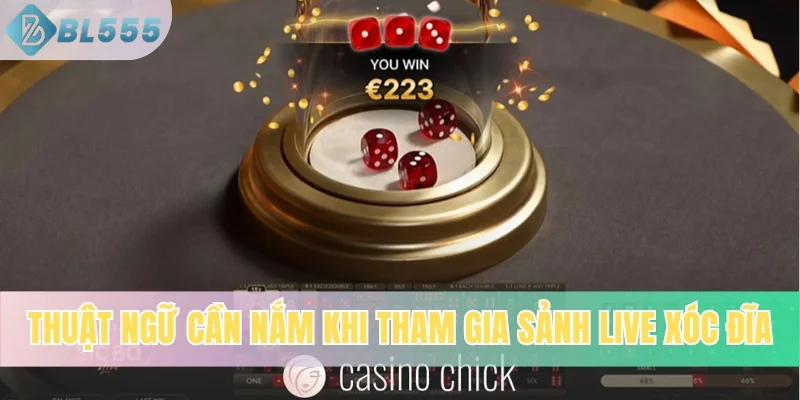 Thuật ngữ cần nắm khi tham gia sảnh live Xóc Đĩa