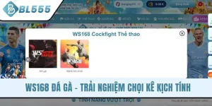 Ws168 Đá Gà - Trải Nghiệm Chọi Kê Kịch Tính Hơn Bao Giờ Hết