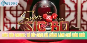 Xóc Đĩa Online: Bí Kíp Chơi Và Cách Làm Chủ Ván Đấu